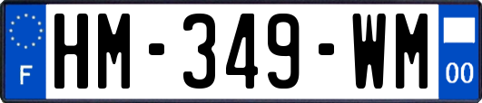 HM-349-WM