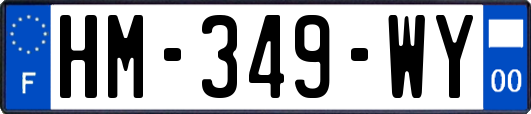 HM-349-WY