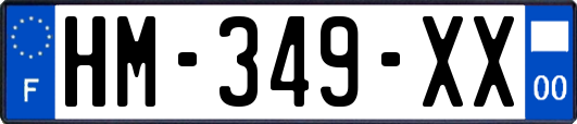 HM-349-XX
