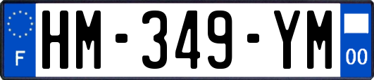 HM-349-YM
