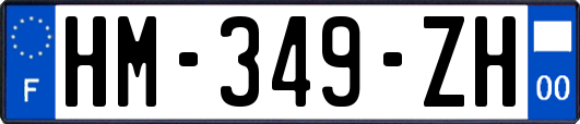 HM-349-ZH