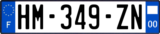 HM-349-ZN