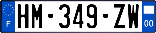 HM-349-ZW