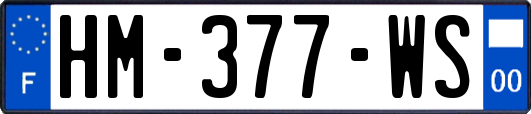 HM-377-WS