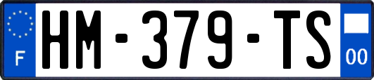 HM-379-TS