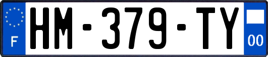 HM-379-TY