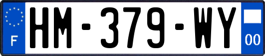 HM-379-WY