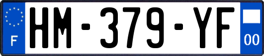 HM-379-YF
