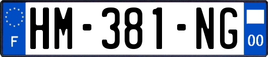 HM-381-NG