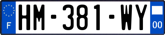 HM-381-WY