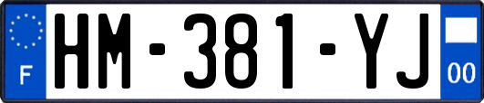 HM-381-YJ