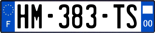 HM-383-TS