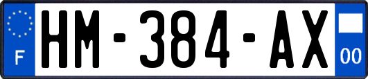 HM-384-AX