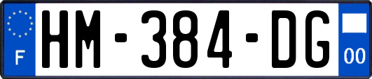 HM-384-DG