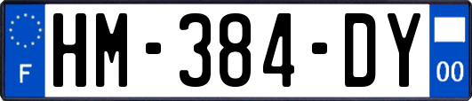 HM-384-DY