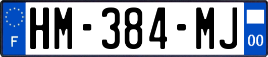 HM-384-MJ