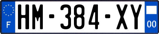 HM-384-XY