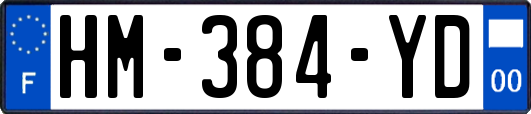 HM-384-YD