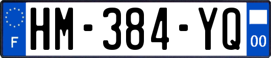 HM-384-YQ