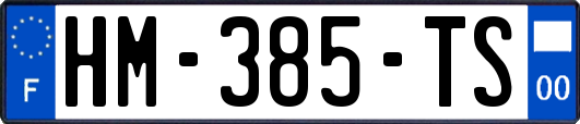 HM-385-TS
