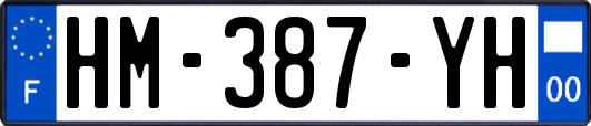 HM-387-YH