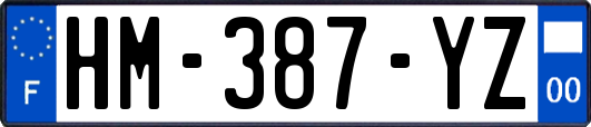 HM-387-YZ