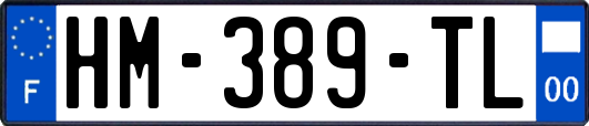 HM-389-TL