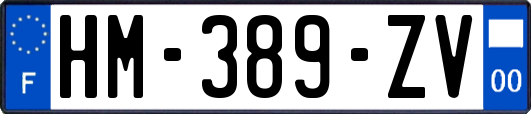 HM-389-ZV