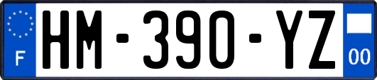 HM-390-YZ