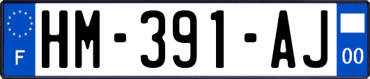 HM-391-AJ