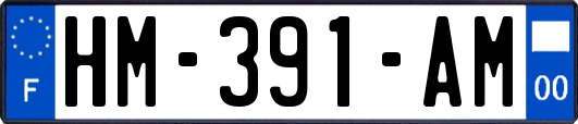 HM-391-AM