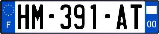 HM-391-AT