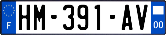 HM-391-AV