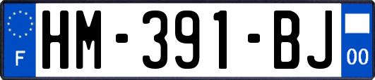 HM-391-BJ