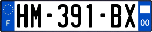 HM-391-BX