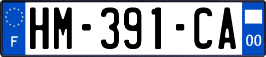 HM-391-CA