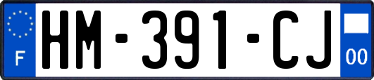 HM-391-CJ