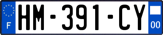 HM-391-CY