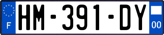 HM-391-DY