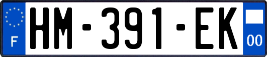 HM-391-EK