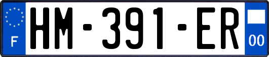 HM-391-ER