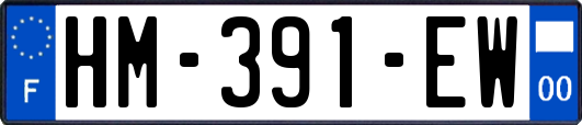 HM-391-EW