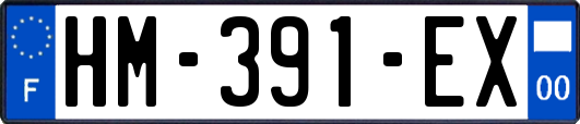 HM-391-EX