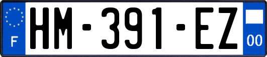 HM-391-EZ