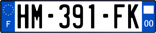 HM-391-FK