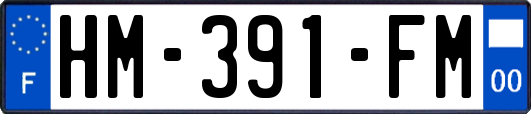 HM-391-FM