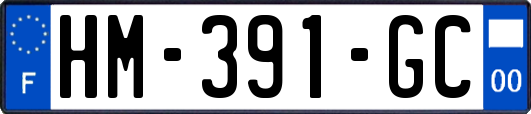 HM-391-GC