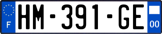 HM-391-GE