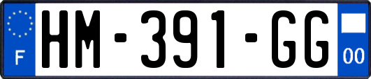 HM-391-GG