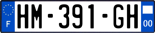 HM-391-GH